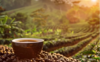 El café tostado colombiano creció un 16% en exportaciones durante 2024 y conquista el consumo local.